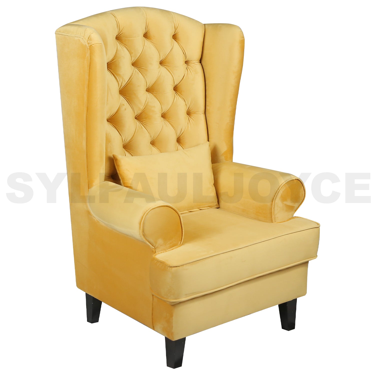 Anne Accent Chair - Sylpauljoyce Furniture, Lights & Decor