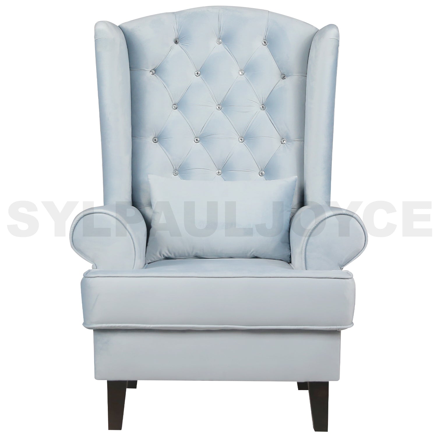 Anne Accent Chair - Sylpauljoyce Furniture, Lights & Decor