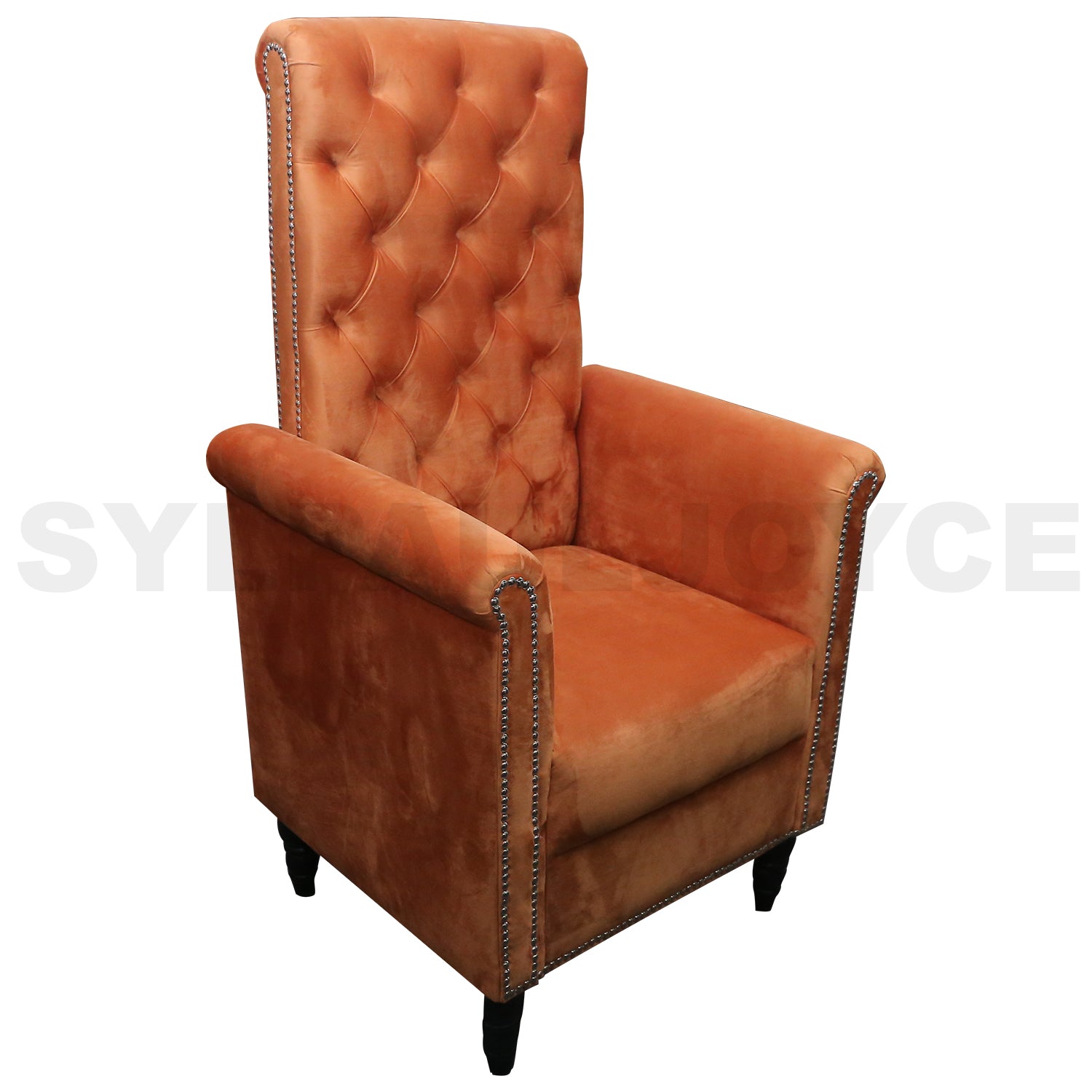 Romualdo Chair with Armrest