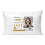 Premium Pillow (Buy 1 Take 1)